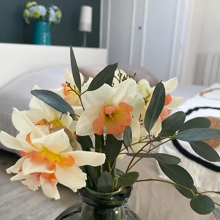 Apartment 1er Secret De