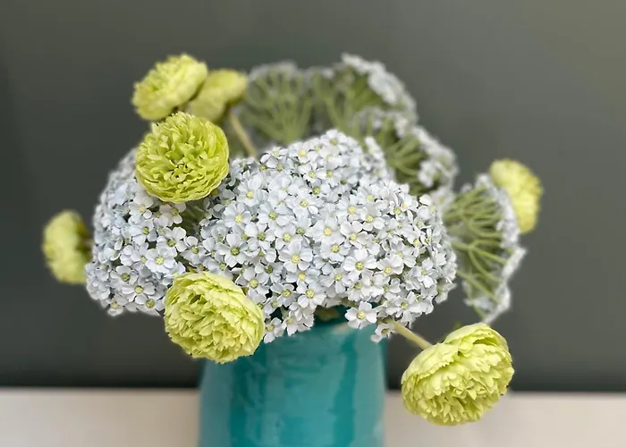 Apartman 1er Secret De *