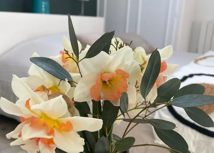 Apartman 1er Secret De